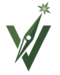 Visionary Service Operations